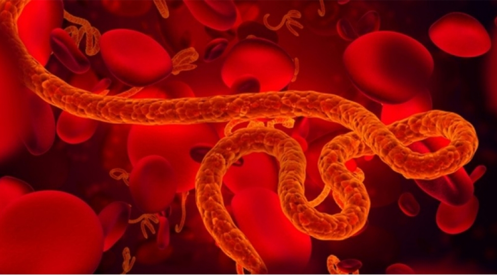 konqoda-ebola-virusuna-yoluxanlarin-sayi-676-ya-chatib