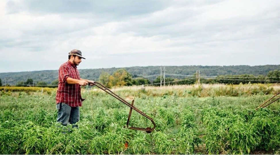 azerbaycanda-fermer-chagri-merkezi-yaradilacaq