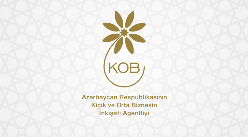 orta-ve-kichik-sahibkarlara-verilen-kreditler-azalib-kobia