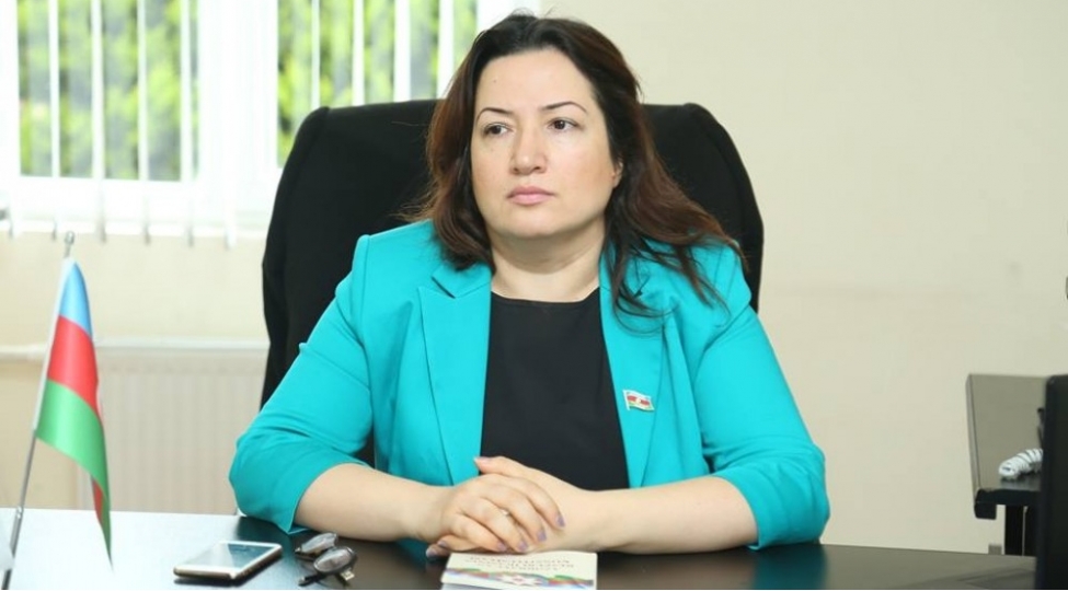 azerbaycanin-sulh-teshebbusleri-beynelxalq-munasibetlerde-muhum-onem-kesb-edir