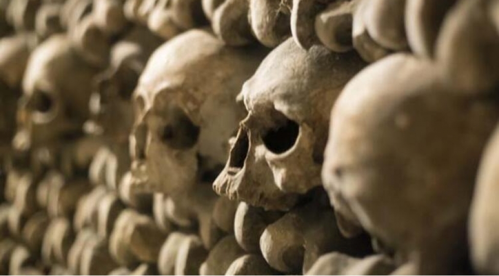 her-kesin-gormeye-cesaret-etmediyi-yer-catacombe
