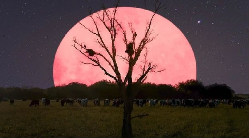 chehrayi-ayin-mohteshem-goruntuleri-foto