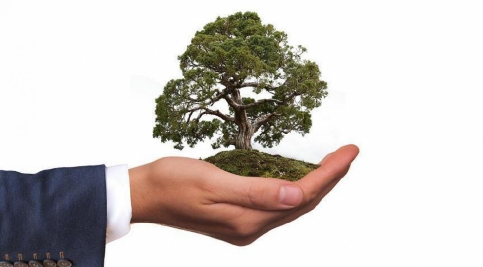 ekoloji-inkishaf-siyaseti