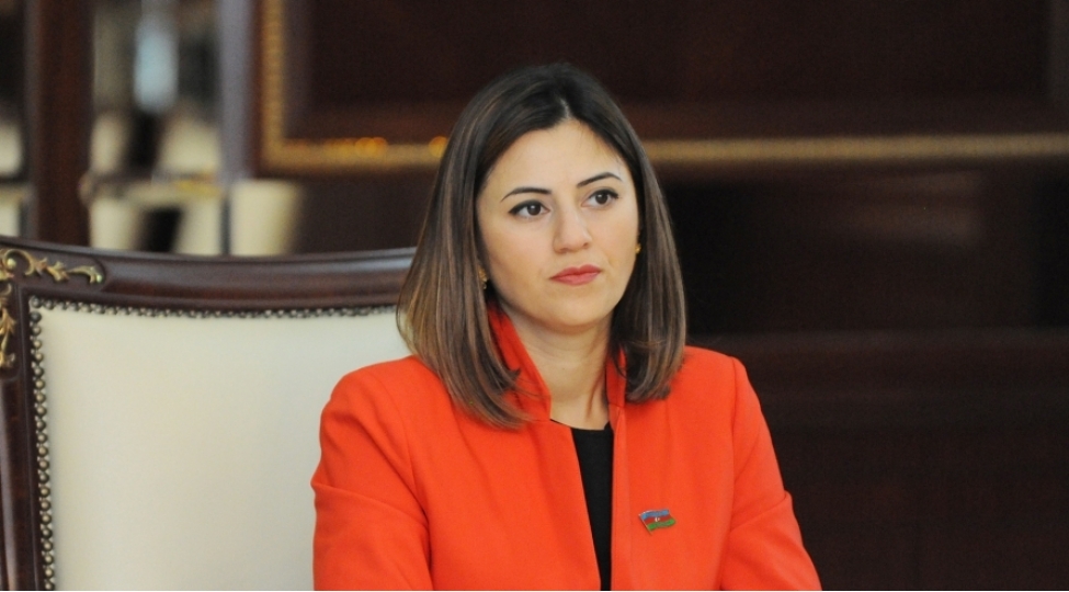 azerbaycan-ve-gurcustan-cenubi-qafqazda-sulhun-temin-olunmasinin-terefdaridirlar
