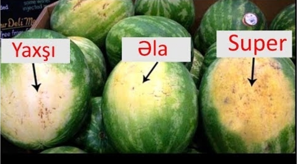 sulu-ve-shirin-qarpiz-seche-bilirsinizmi