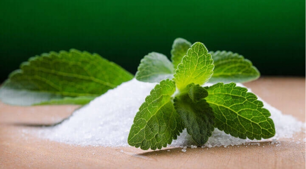 sheker-otu-stevia-bitkisi-haqqinda-