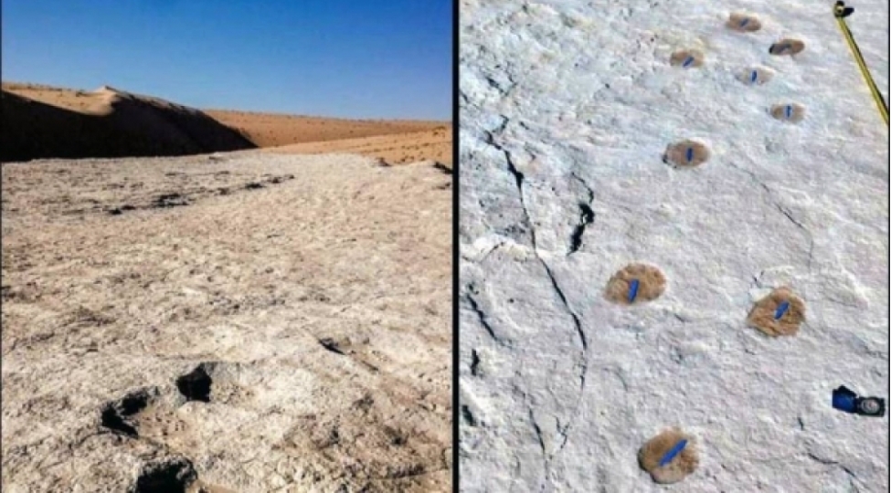 120-min-il-evvele-aid-insan-ve-heyvan-ayaq-izleri-tapilib