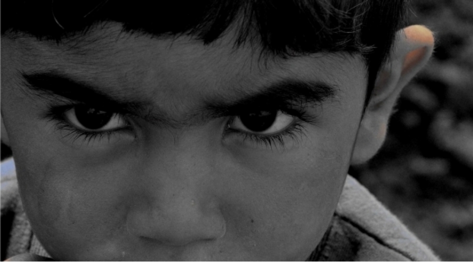 litva-mediasi-xocali-soyqirimindan-yazib