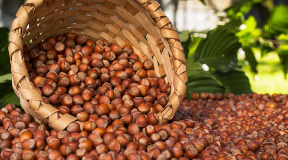 azerbaycan-rusiyadan-noxud-tedarukunu-keskin-artirib