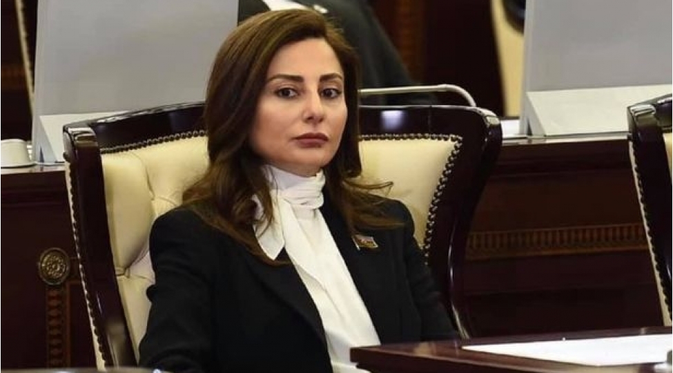 azerbaycan-elminin-nurlu-simasi