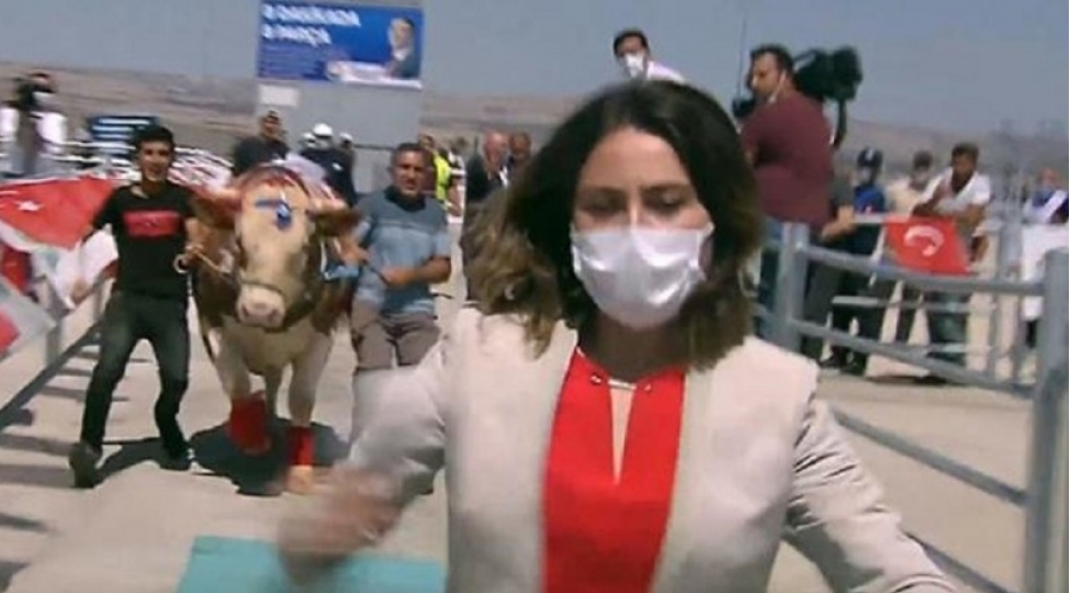 jurnalist-buganin-altinda-qalmaqdan-son-anda-xilas-oldu-video