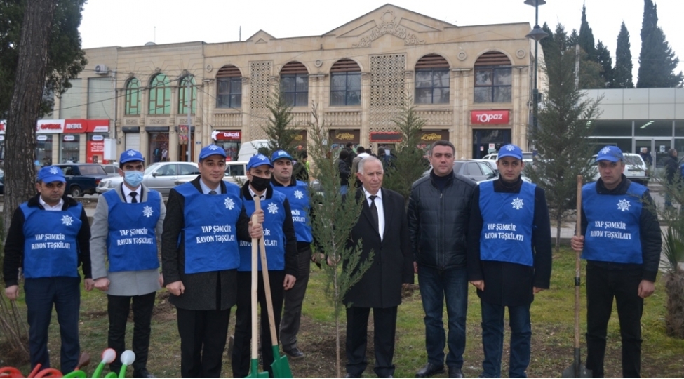 shemkir-rayonunda-agacekme-aksiyasi-kechirilib