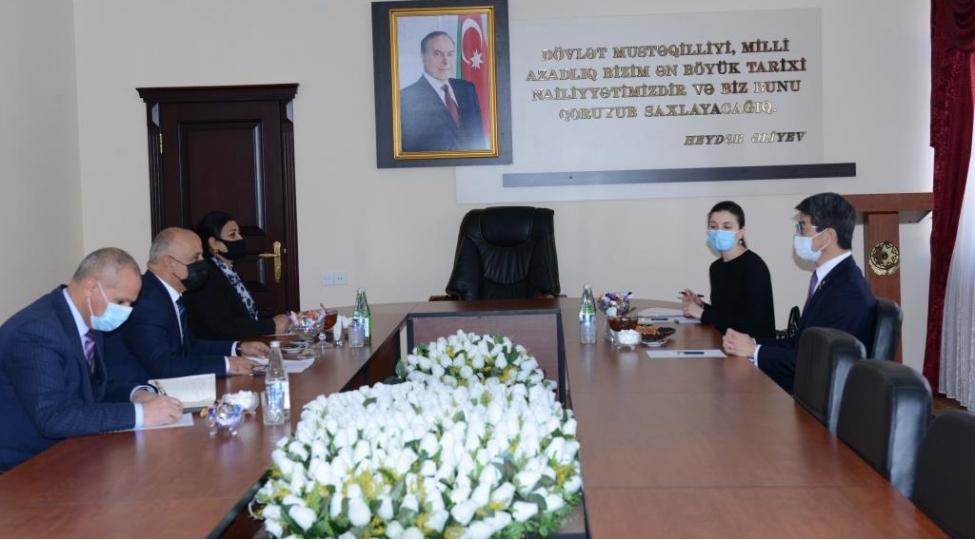 yaponiyanin-azerbaycandaki-sefiri-lerikde-olub-foto