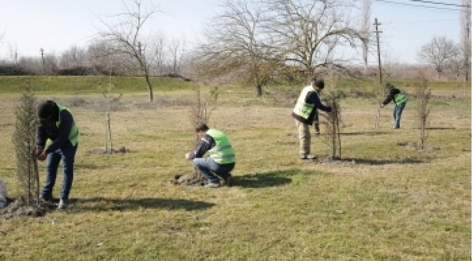 xachmazda-park-ve-qebiristanliqlarda-temizlik-ishleri-aparilib