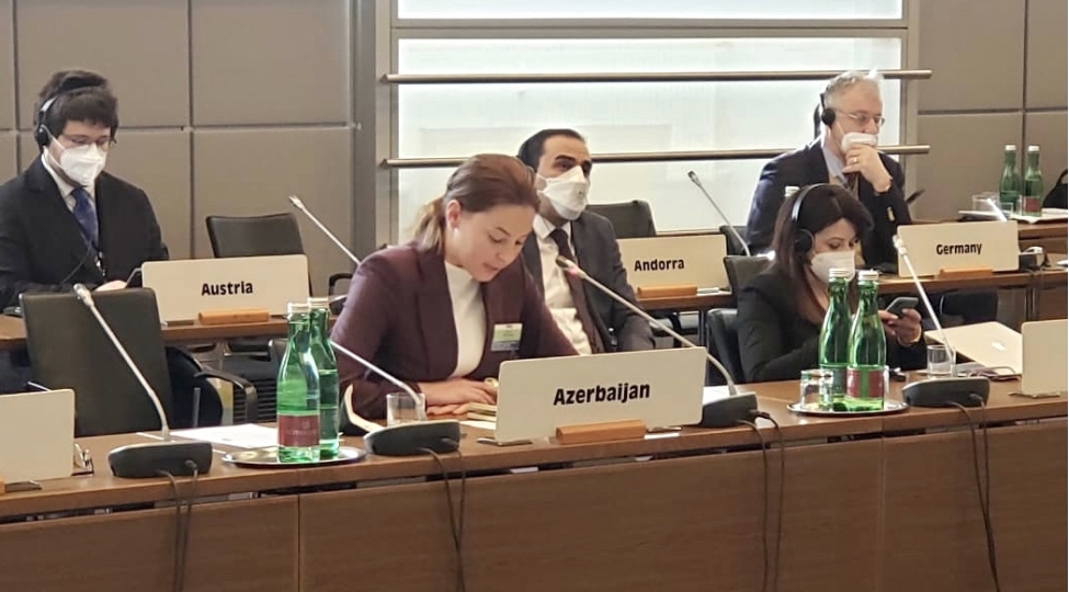 eesmn-resmisi-vyanada-azerbaycanda-aparilan-sosial-islahatlar-barede-melumat-verib