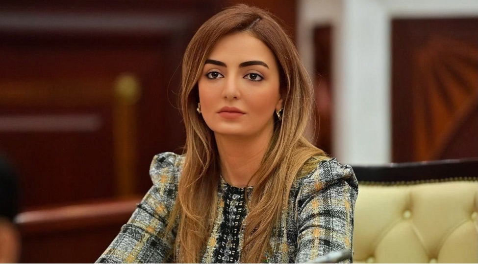 azerbaycan-butun-meseleleri-milli-maraqlara-uygun-hell-edir