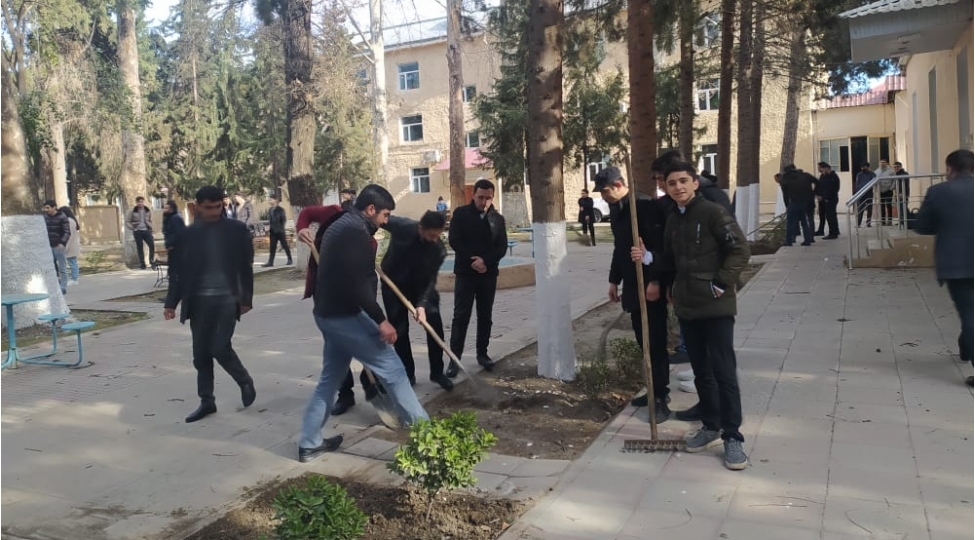 mingechevir-dovlet-universitetinde-imecilik-kechirilib