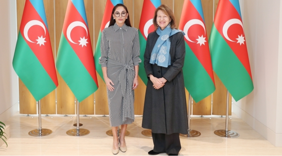 mehriban-eliyevaboyuk-britaniya-bash-nazirinin-azerbaycan-uzre-ticaret-elchisi-ile-gorushub-foto