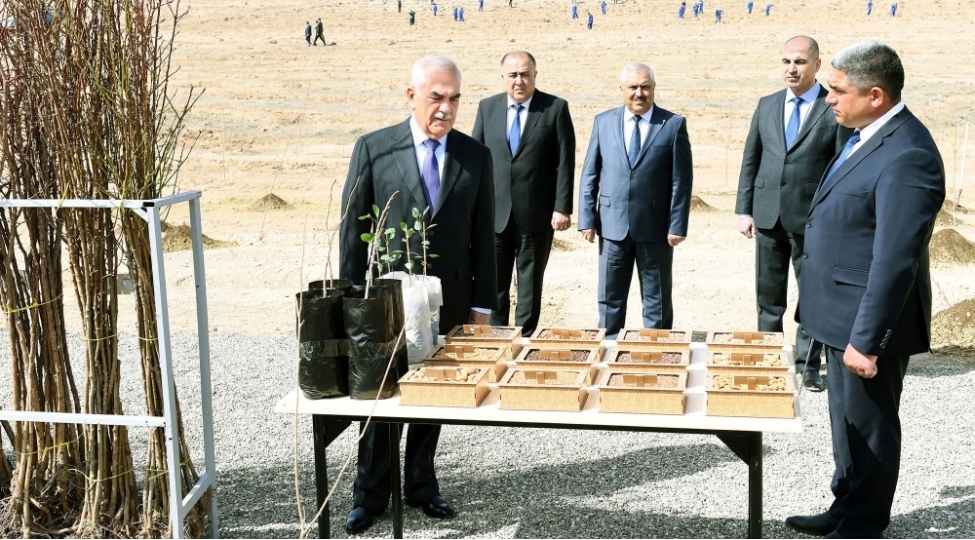 naxchivanda-soyqirimi-qurbanlarinin-eziz-xatiresine-hesr-olunmush-agacekme-kechirilib