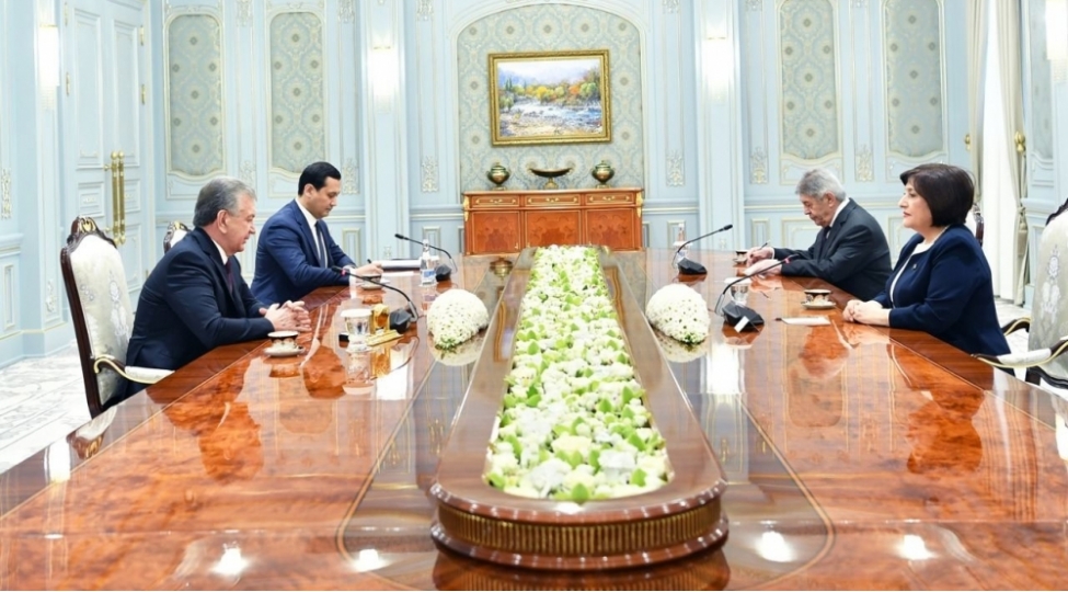 sahibe-qafarova-ozbekistan-prezidenti-ile-gorushub