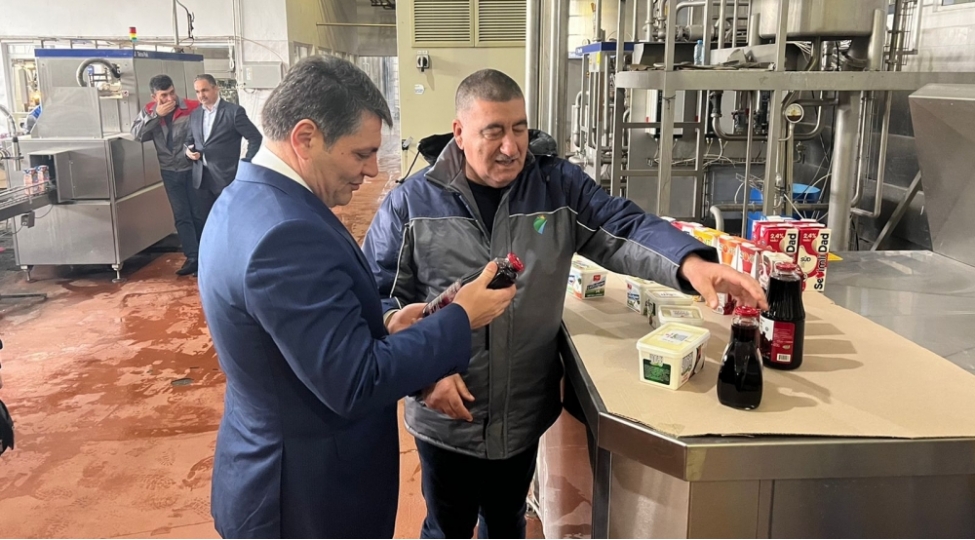 deputat-goychayda-muessisede-istehsal-prosesi-ile-tanish-olub