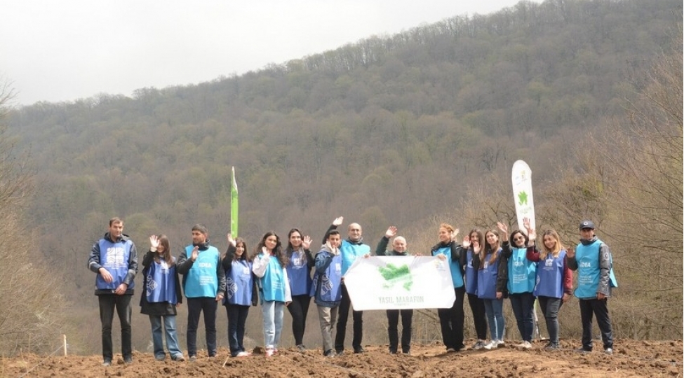 yashil-marafon-cherchivesinde-qubada-meshesalma-aksiyasi-kechirilib