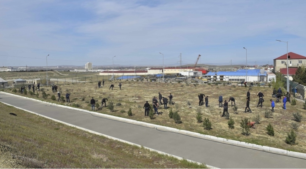 azersu-asc-de-yashillashdirma-ve-abadliq-ishleri-gorulur-foto