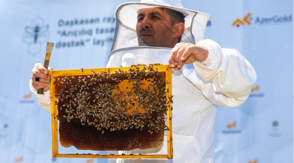 dashkesen-rayonunda-arichi-fermerlere-telimler-kechirilib-foto