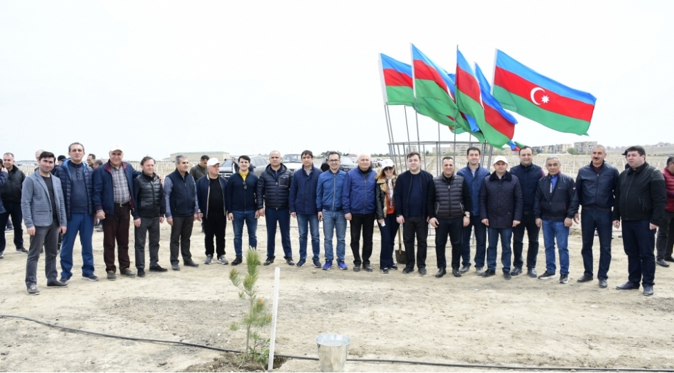 yap-ve-etsn-nin-birge-teshkilatchiligi-ile-beynelxalq-yer-gunu-munasibetile-agacekme-aksiyasi-kechirilib