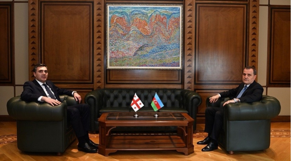 azerbaycan-ve-gurcustan-xin-bashchilari-arasinda-gorush-kechirilib-foto