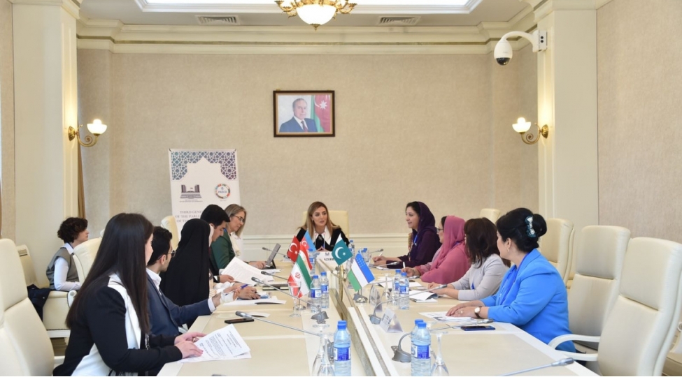 bakida-iet-pa-nin-komitelerinin-iclaslari-kechirilib-foto