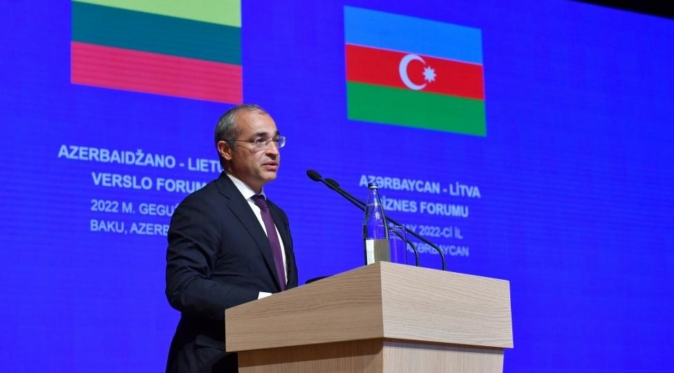 azerbaycan-litva-biznes-forumu-ishini-muzakirelerle-davam-etdirib-foto