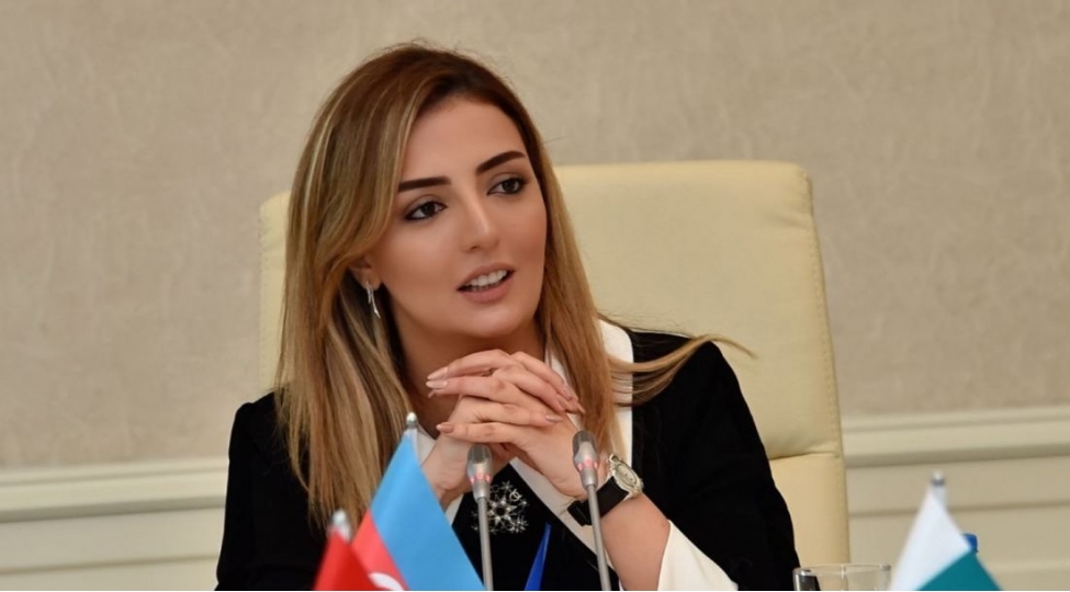 konul-nurullayeva-iet-pa-nin-komite-iclasinda-azerbaycanin-pandemiya-ile-mubarize-tecrubesinden-danishib