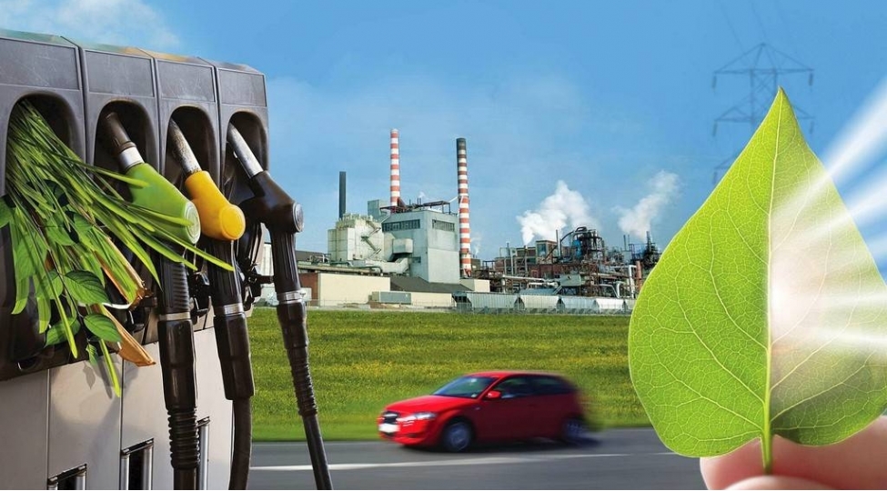 bioyanacaq-nedir-foto