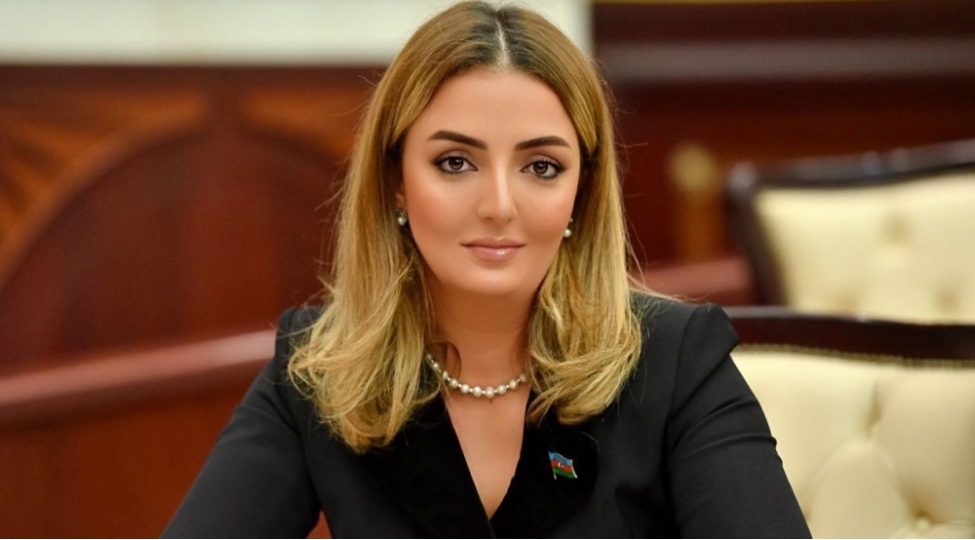 konul-nurullayeva-beynelxalq-tedbirde-meishet-zorakiligina-qarshi-mubarize-yollarindan-danishib-foto