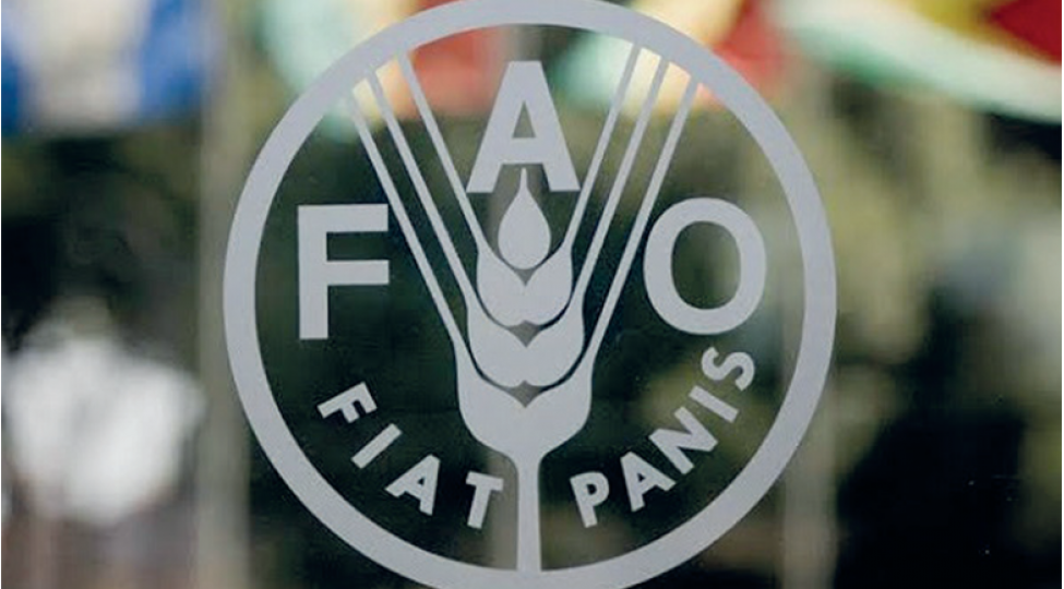 fao-azerbaycanin-aqrar-sahesinde-kooperativleshmenin-genishlenmesine-destek-olacaq
