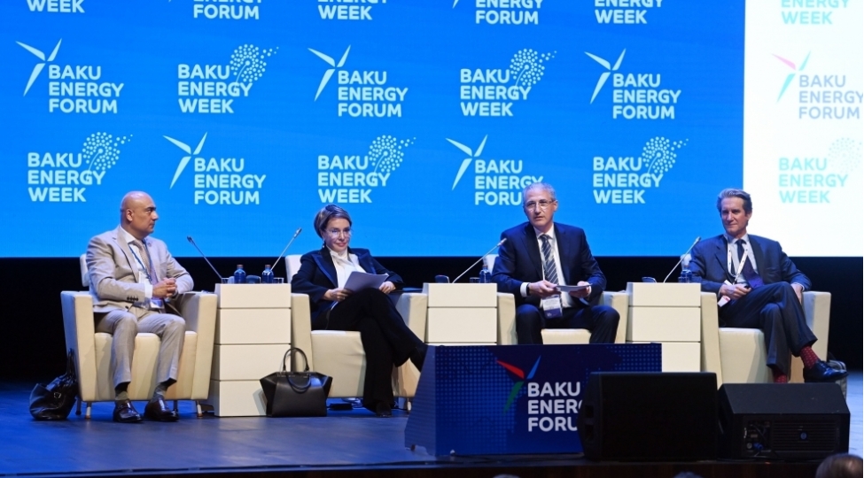 azerbaycanda-ilk-defe-olaraq-karbon-kreditlerinin-sertifikatlashdirilmasi-layihesi-ugurla-icra-edilib-foto