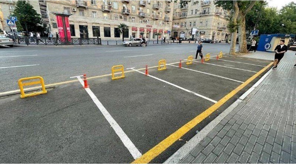 nazirlik-bakinin-merkezinde-agaclarin-kesilmesi-ile-bagli-arashdirma-aparir-foto