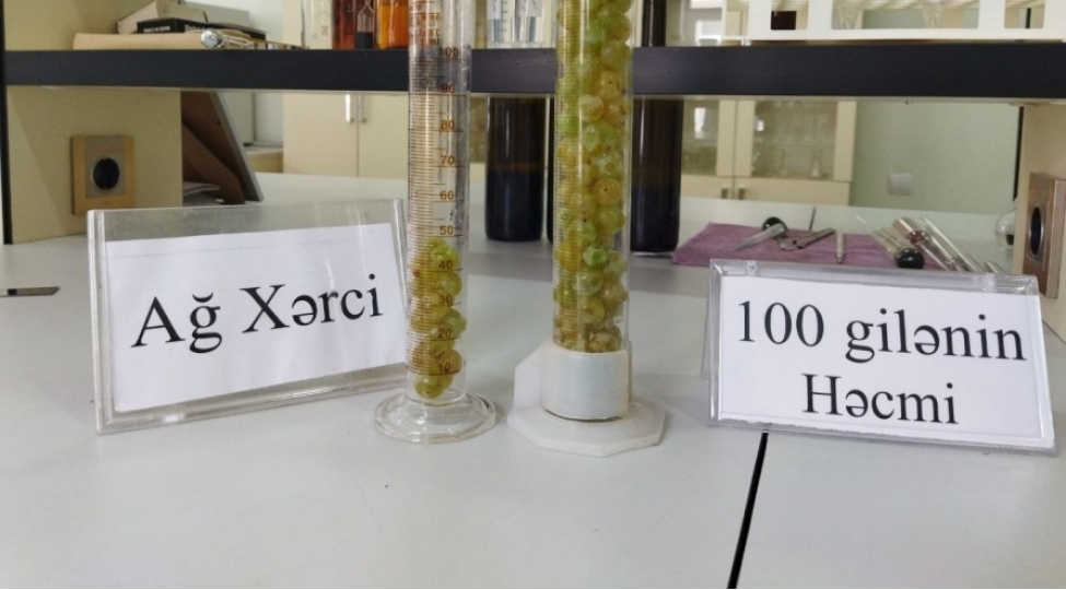 nadir-yerli-uzum-sortlarinin-genetik-elametleri-muasir-laborator-usullarla-teyin-olunur