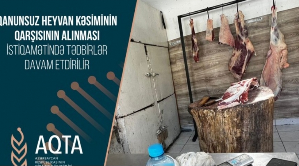 20-heyvan-kesimi-menteqesinde-qurgular-sokulub-sahibleri-cerimelenib-foto
