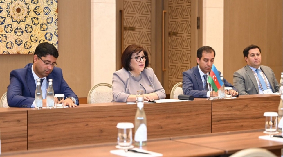 sahibe-qafarova-behreyn-numayendeler-shurasinin-sedri-ile-gorushub-foto