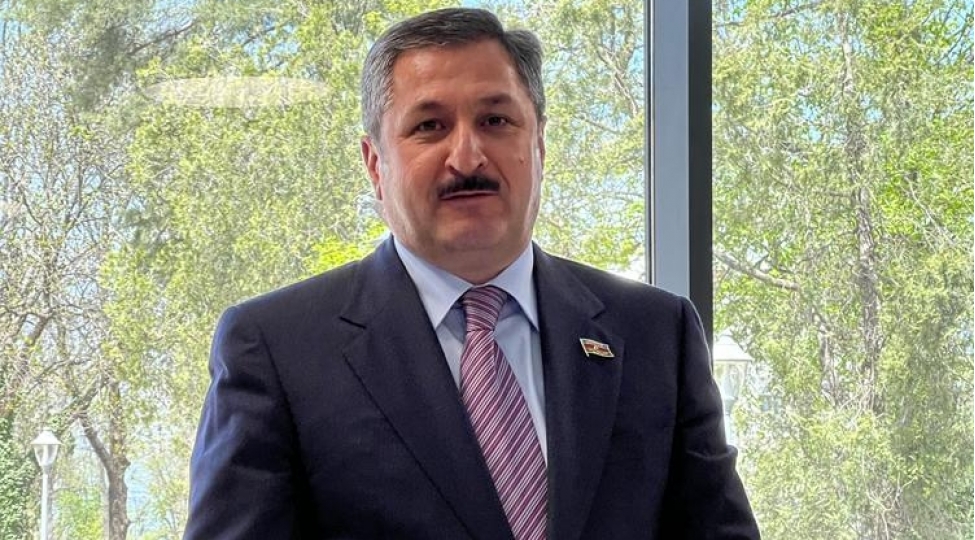 azerbaycan-gurcustan-uchun-tekce-deyerli-dost-deyil-etibarli-terefdash-ve-qardash-olkedir