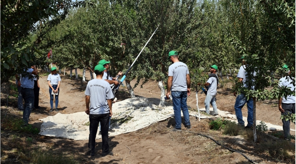 kiv-numayendeleri-id-aqropark-mmc-de-mehsul-yigimi-ile-tanish-olublar-foto