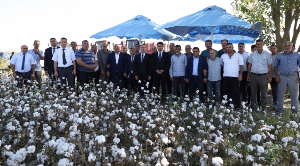 neftchalanin-icra-bashchisi-pambiq-sahelerine-baxish-kechirib-foto