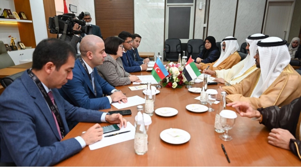 sahibe-qafarova-bee-nin-federal-milli-shurasinin-sedri-ile-gorushub-foto