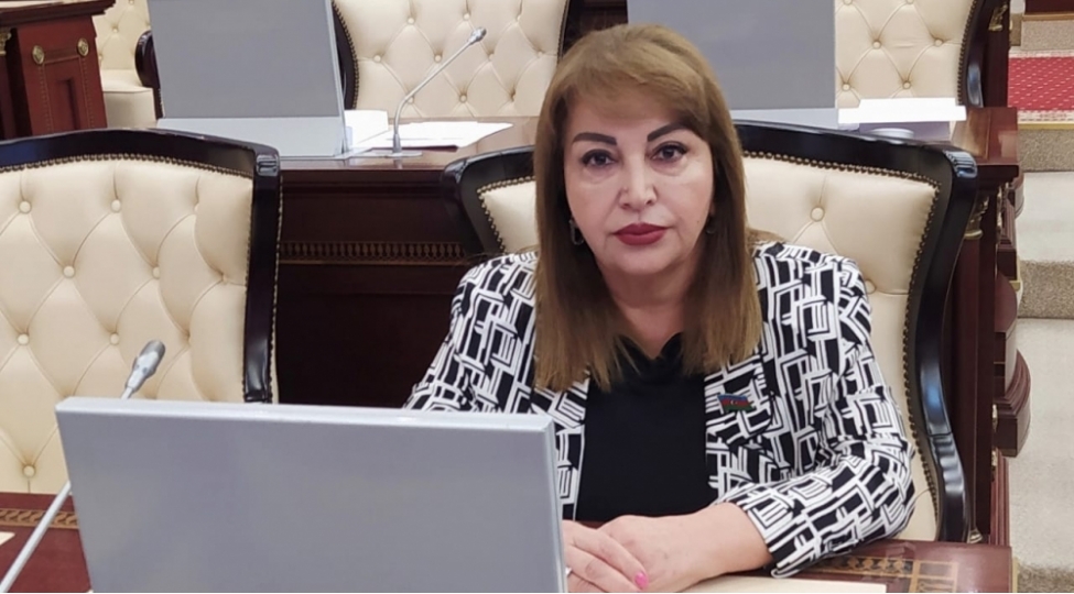enerji-sahesinde-ugurlu-ve-numunevi-model