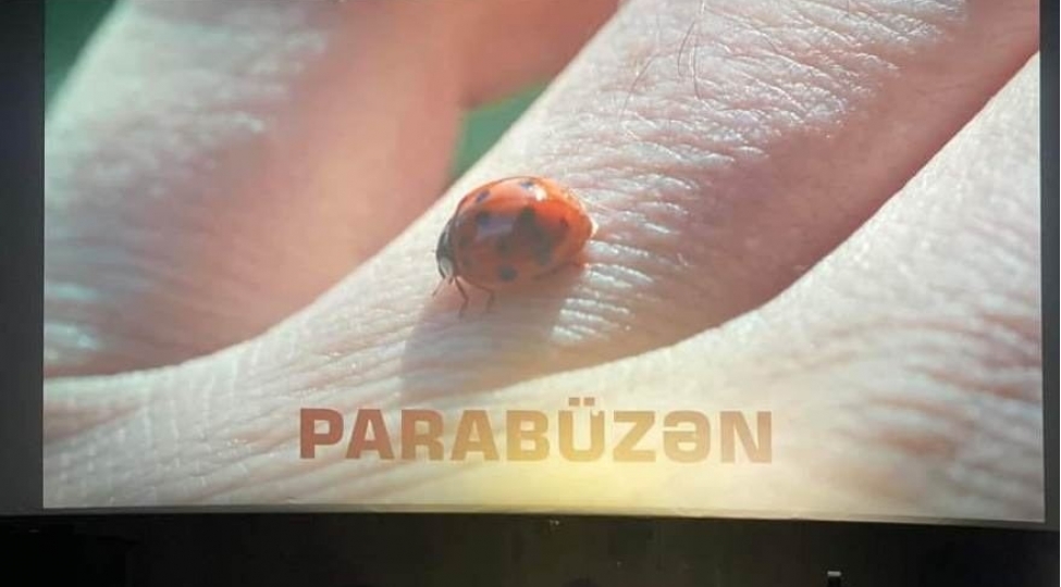 parabuzen-teqdim-edildi