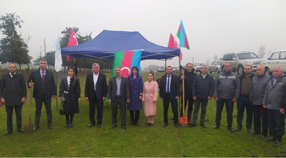 masallida-yap-in-30-illiyi-munasibetile-agacekme-aksiyasi-foto
