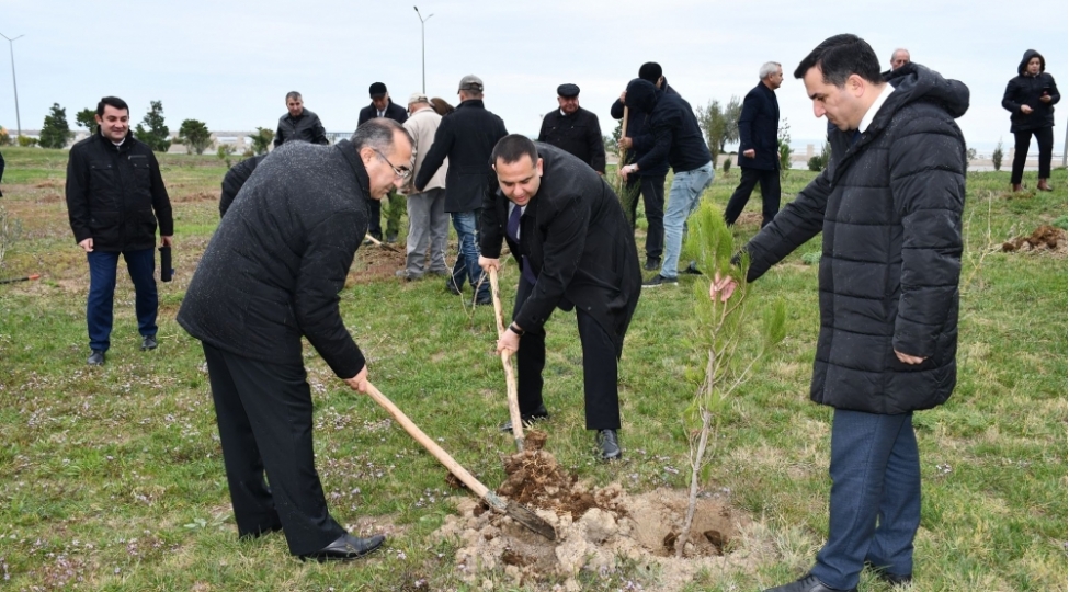 yap-sumqayit-sheher-teshkilati-agacekme-aksiyasi-kechirib-foto