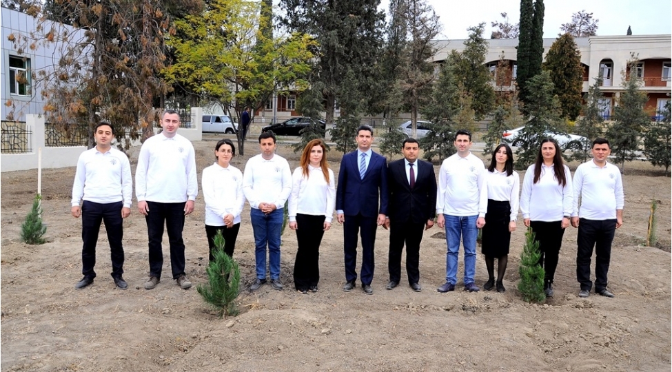 naftalanda-agacekme-aksiyasi-kechirilib-foto